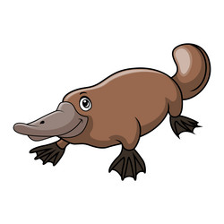 cute cartoon platypus on white background vector