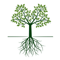 Elegant Green Tree with Roots Vector Image