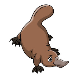 cute cartoon platypus on white background vector