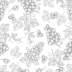 Grape Sketch Seamless Pattern vector image