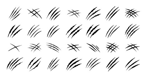 claw scratches isolated black bear tiger claws Vector Image