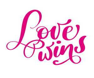 phrase love wins on valentines day hand drawn vector