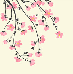 Sakura Blossom Branches Vector Image