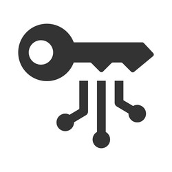 Digital Key Icon - Access & Security vector image