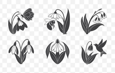 print snowdrop flower botanical line art Vector Image