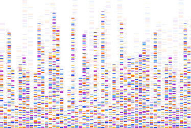 Genome Sequence Map - DNA Analysis vector image