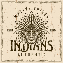 Native american indians colored round Royalty Free Vector