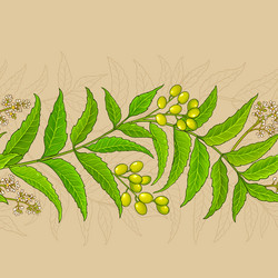 neem branches pattern on color background vector