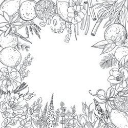 Floral Perfumery Background Vector Image