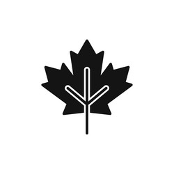 Maple leaf icon isolated on white background Vector Image