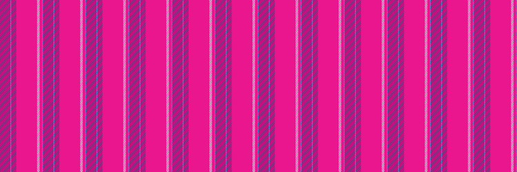 rirthday lines stripe pattern purchase texture vector image