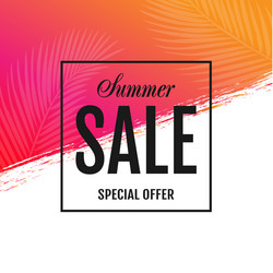 summer sale special offer poster vector