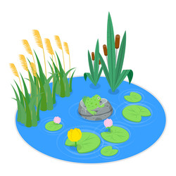 3d isometric flat set of cartoon frogs Vector Image