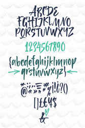 handwritten script font brush vector