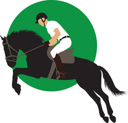 Horse Jumping Sport Vector Image