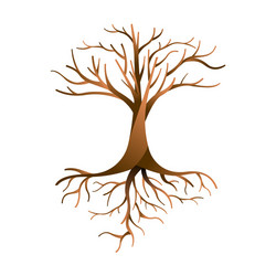 Isolated Empty Tree with Roots and Branches vector image