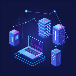 Big Data Network Isometric vector image