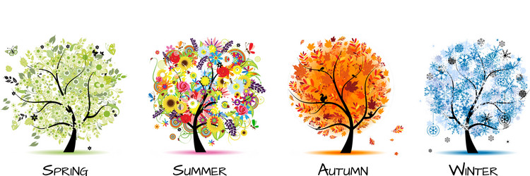 Four seasons trees - spring summer autumn winter Vector Image