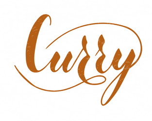 hand written curry text isolated on white vector