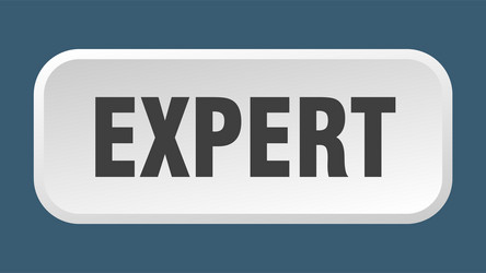 expert button square 3d push vector image