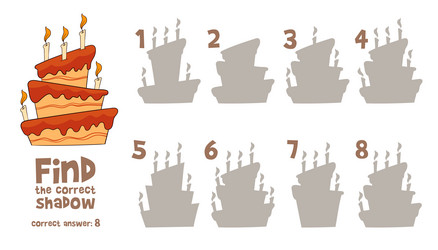 find the correct shadow 2 same objects vector image