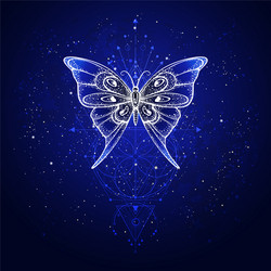 butterfly and sacred symbol vector