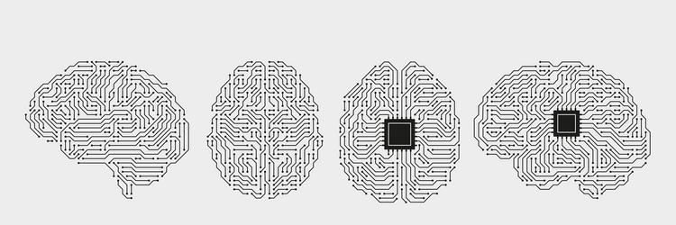 Artificial Intelligence Circuit Brains vector image