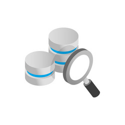 Database Icon with Magnifying Glass vector image