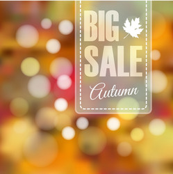 autumn fall sale poster with blurred background vector