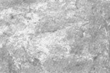 halftone pattern effect texture on white vector image