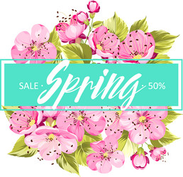 spring background with sakura flowers vector image
