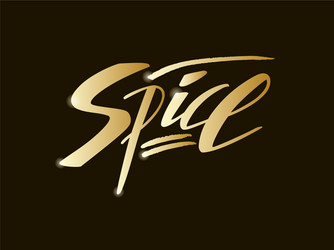 Spice golden lettering on black background vector