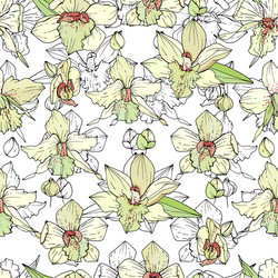 Seamless pattern with white orchids endless vector