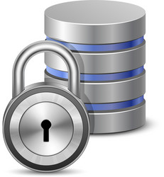 Database Security Icon vector image