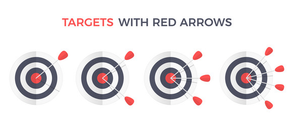 Target with Multiple Arrows vector image