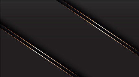 black abstract background with golden lines vector image