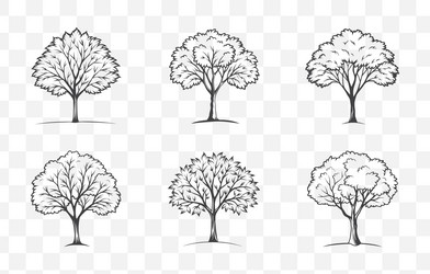 print ash tree line art set with detailed vector image