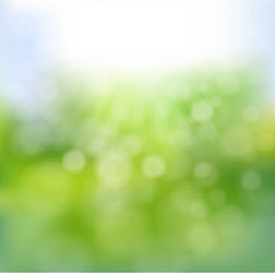 spring text banner with bokeh vector image