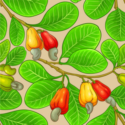 cashew branches pattern on color background vector image