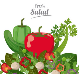 Fresh salad menu food health nutrition ingredient vector