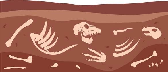 Underground Dinosaur Bones Royalty Free Vector Image