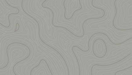 abstract contour map on gray background vector image
