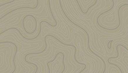abstract contour map isolated on brown background vector image