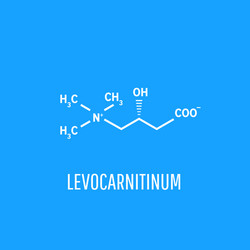 levocarnitine biological molecule acetylcarnitine vector