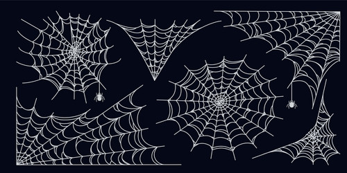 spider web set isolated on dark background spooky vector image