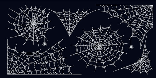 Spider web set isolated on dark background spooky vector