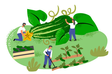 people with big cucumber character in garden vector