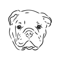 line art french bulldog with three difference Vector Image