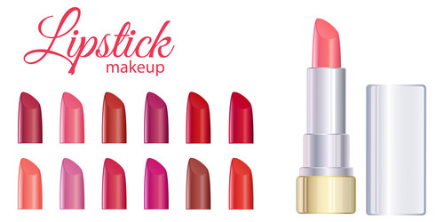 pink lipstick and palette vector