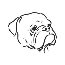 line art french bulldog with three difference Vector Image